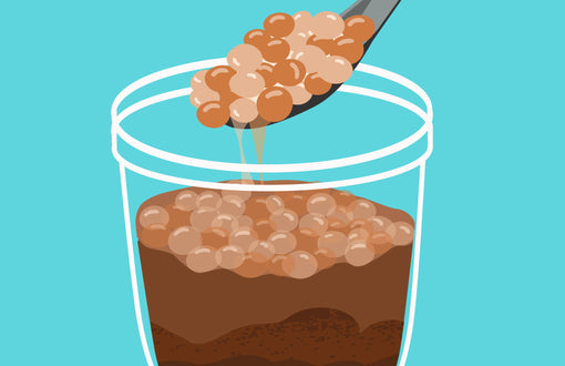 Slow-Simmered Black Sugar Tapioca